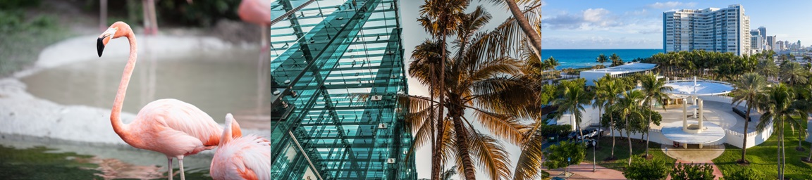 Miami images